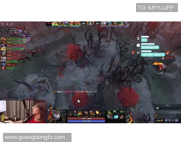 dota创世神杯比赛-DOTA创世神杯比赛的荣耀与挑战-dota创世神杯比赛